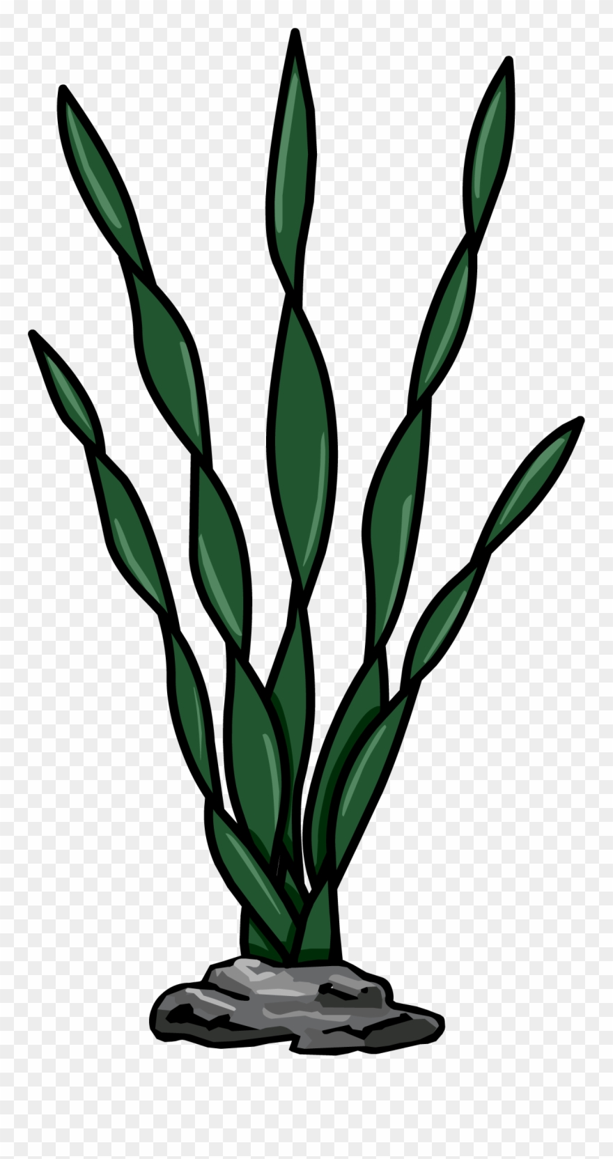 Image - Algas De Mar Png Clipart