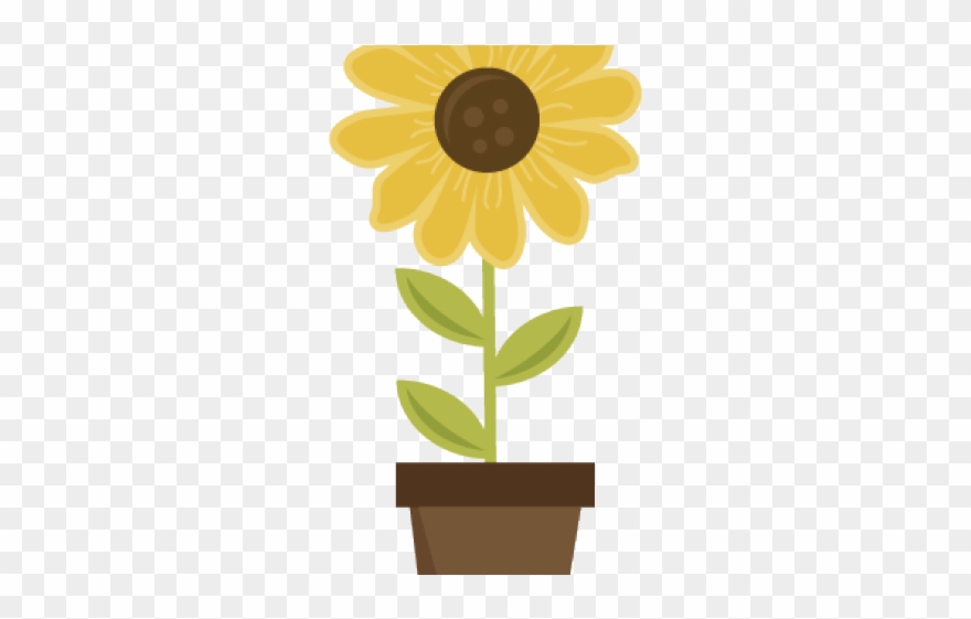 Pot Plant Clipart Sunflower Pot - Scalable Vector Graphics - Png Download