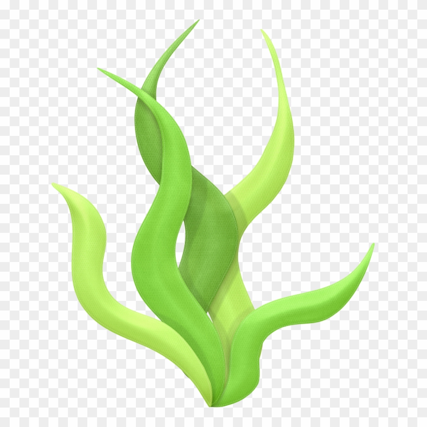 Clip Art Sea Weed - Algas Marinas Animadas Gif - Png Download