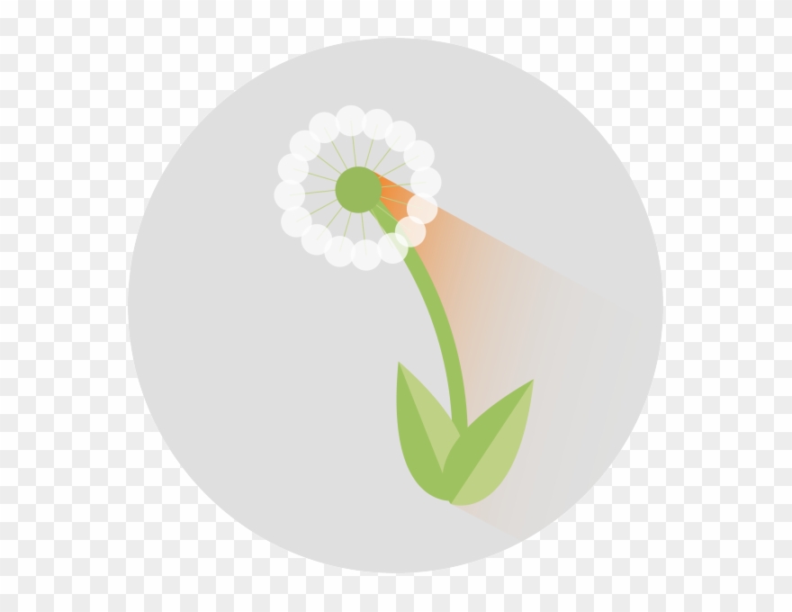 Weed Diagnostics Center - Cannabis Clipart