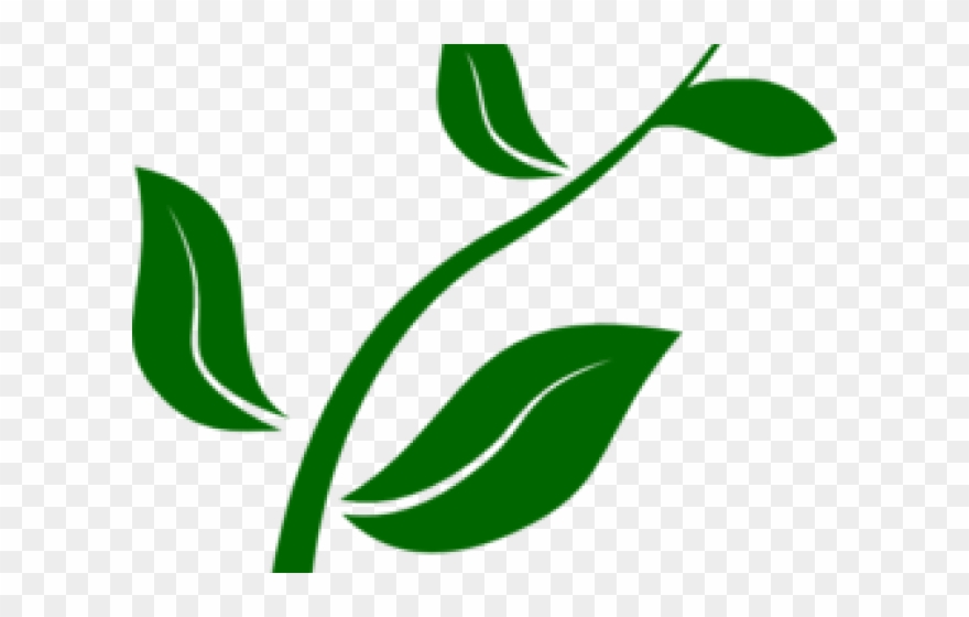 Pot Plant Clipart Plant Nursery - Growing Plant Clip Art - Png Download