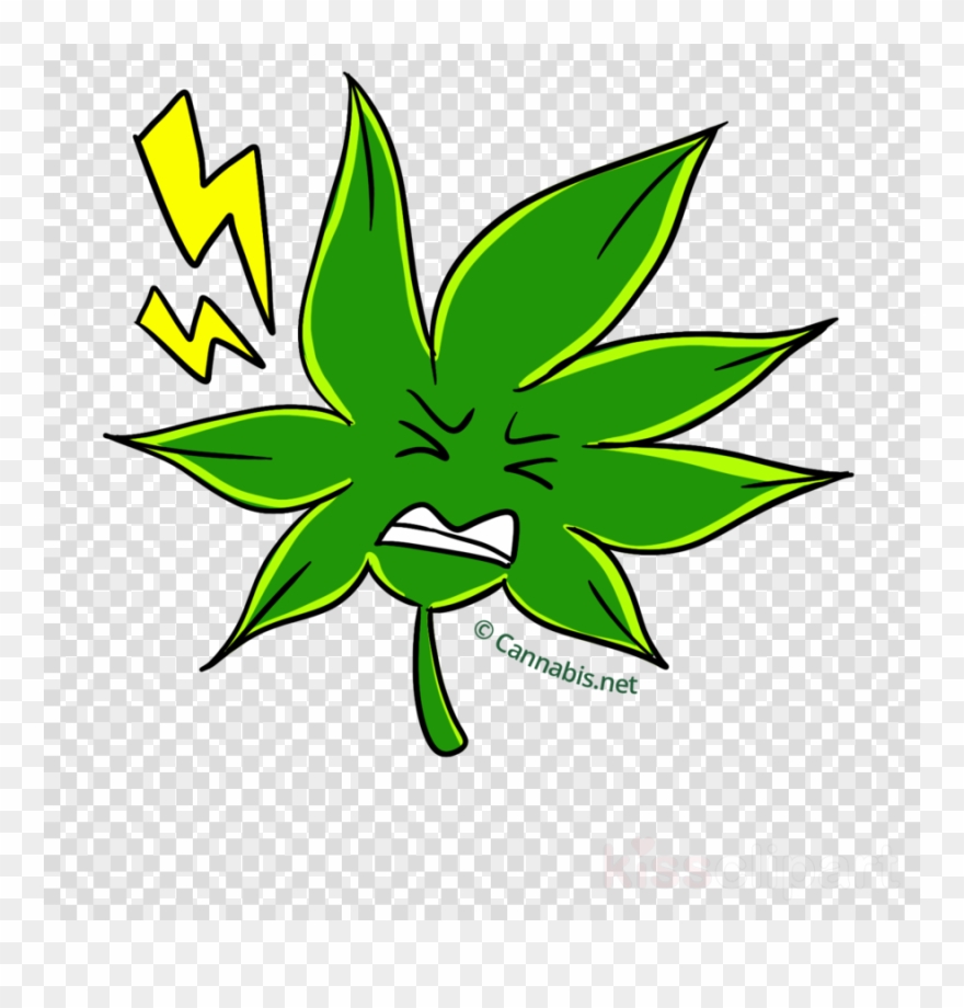 Download Hemp Clipart Skunk Cannabis Sativa Leaf Leaf - Hemp - Png Download