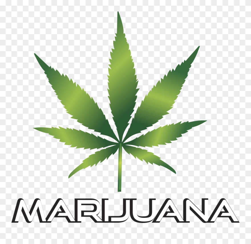 Weed Clipart Transparent - Backgrounds Weed Leaf Hd - Png Download