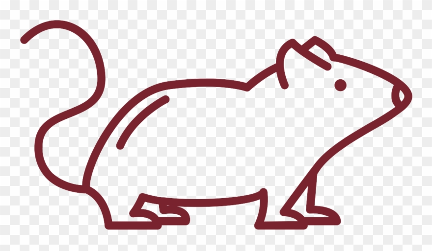 Rodent Tips - Line Mouse Illustration Clipart