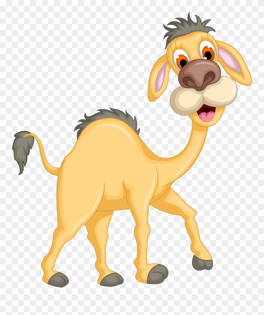 Camel Transparent Ostrich - Cute Camel Cartoon Png Clipart