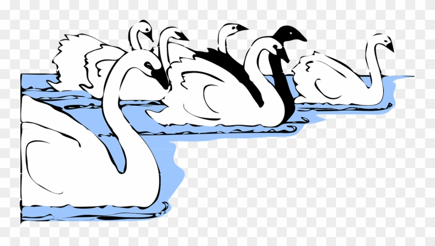 Free Architetto Cigni Bianchi E Neri - 天鹅 矢量 图 Clipart