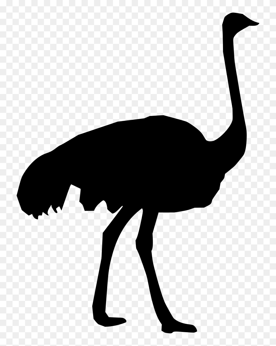 Download Animals Ostrich Png Transparent Images Transparent - Silhouette Ostrich Clipart