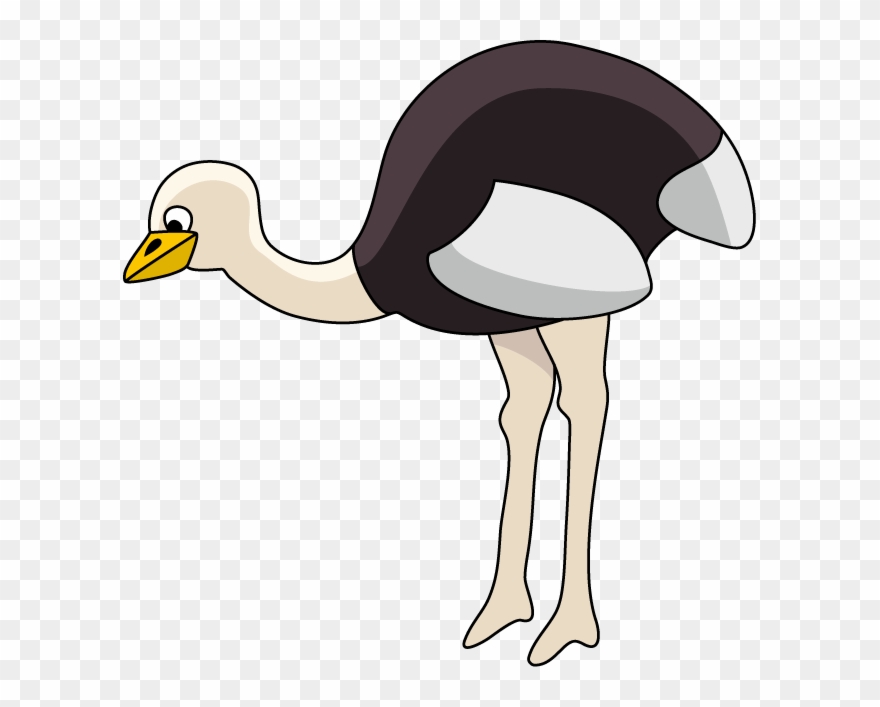 Ostrich Clipart - Common Ostrich - Png Download
