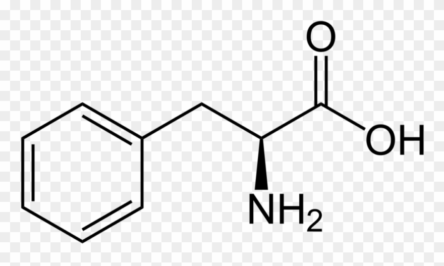 The Best Vegan Food Sources Of Phenylalanine - Phenylalanine Amino Acid Clipart