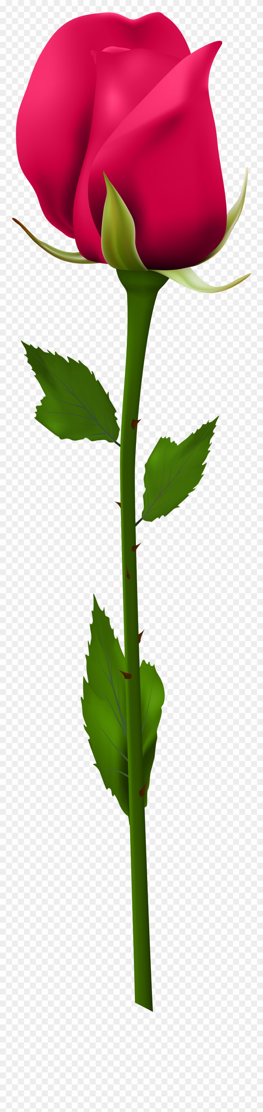 Red Rose Bud Png Clipart