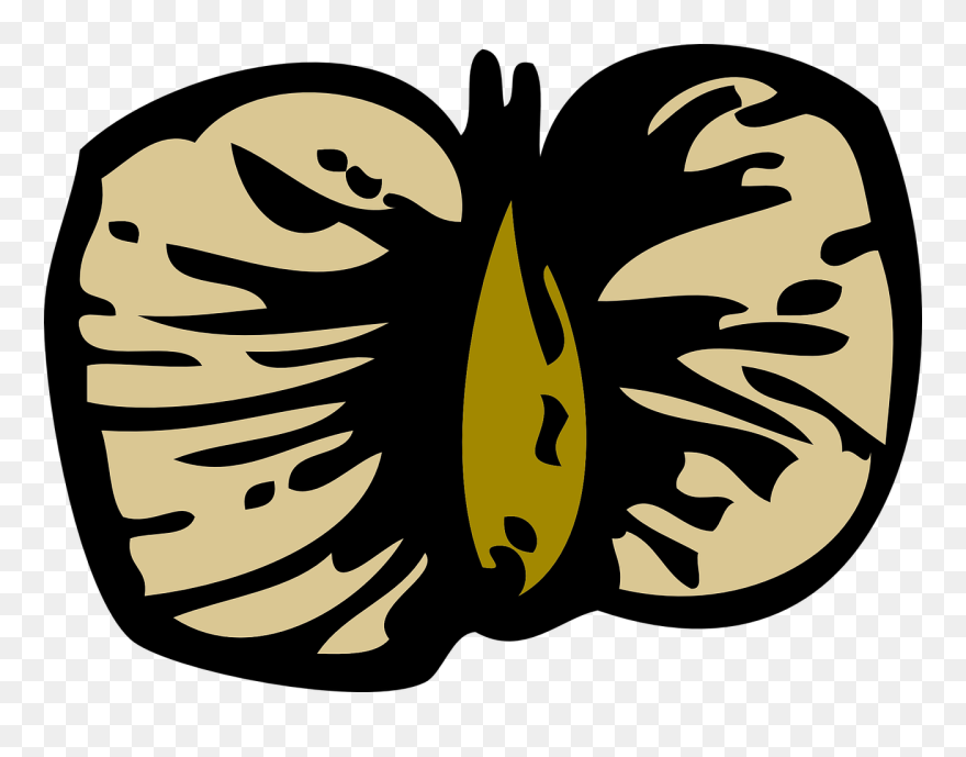 Birch Clipart Free For Download - Bjørk Frø - Png Download