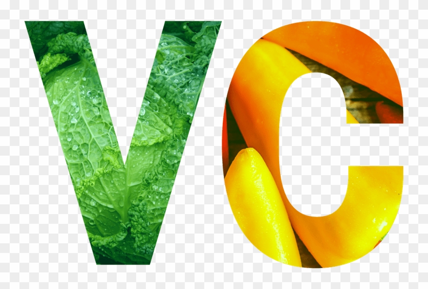 Graphic Design Clipart