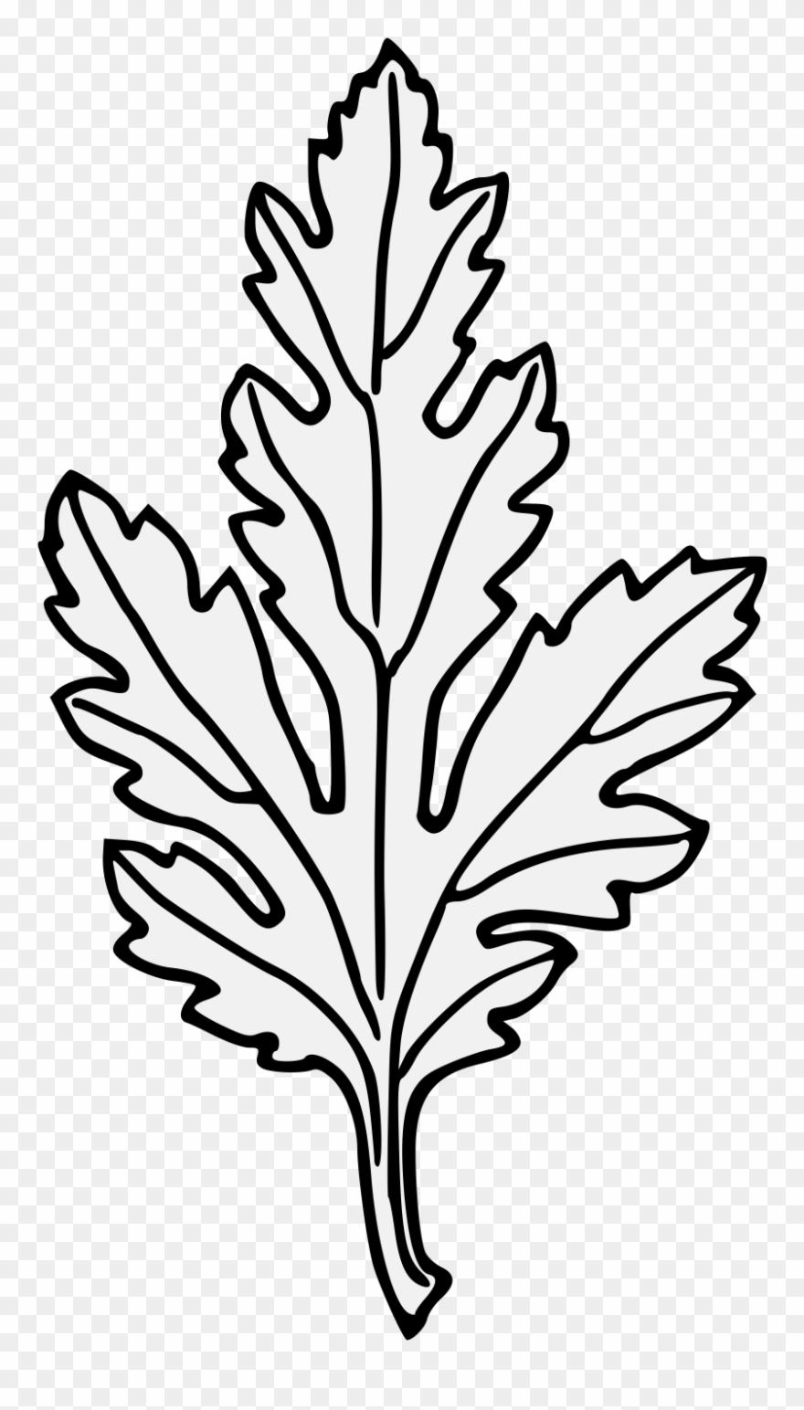 Chrysanthemum Leaf - Embroidery Clipart