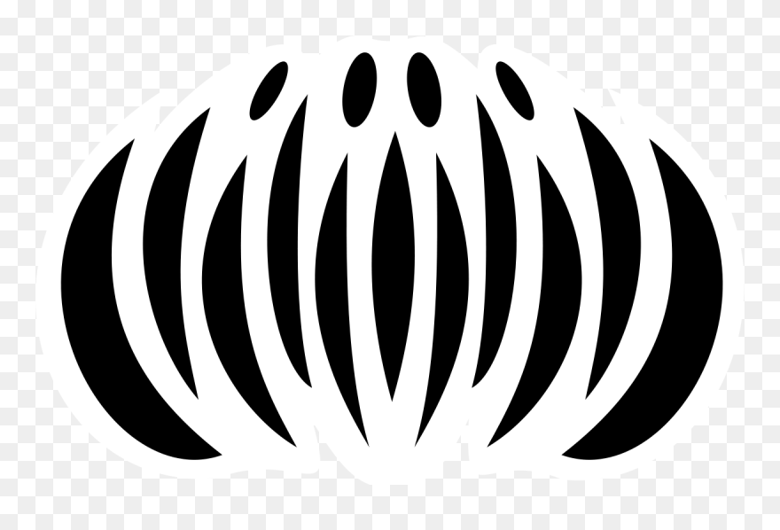 320 × 203 Pixels - Chrysanthemums Insignia Transparent Bleach Clipart