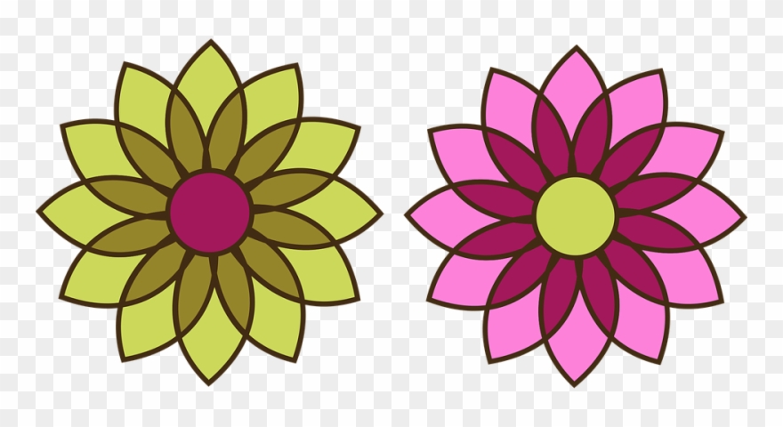 Chrysanthemum Clipart Flower Blossom - Johnson Pump Impeller Kit - Png Download