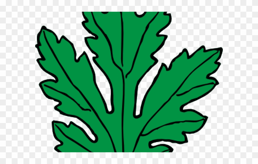 Chrysanthemum Leaves Clipart - Png Download