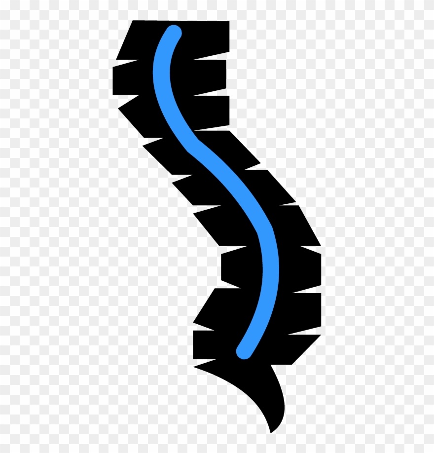 Spinal Cord - Spinal Cord Icon Png Clipart
