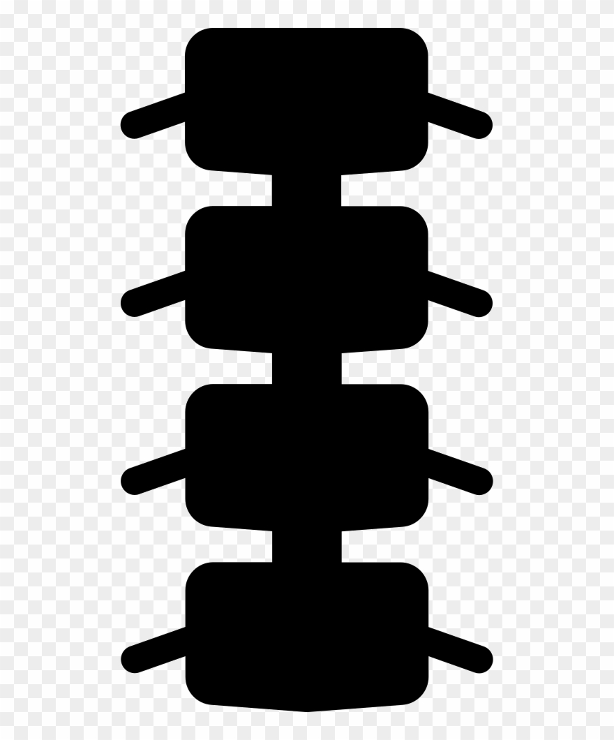 Spinal Bones Svg Png Icon Free Download - Vertebral Column Clipart