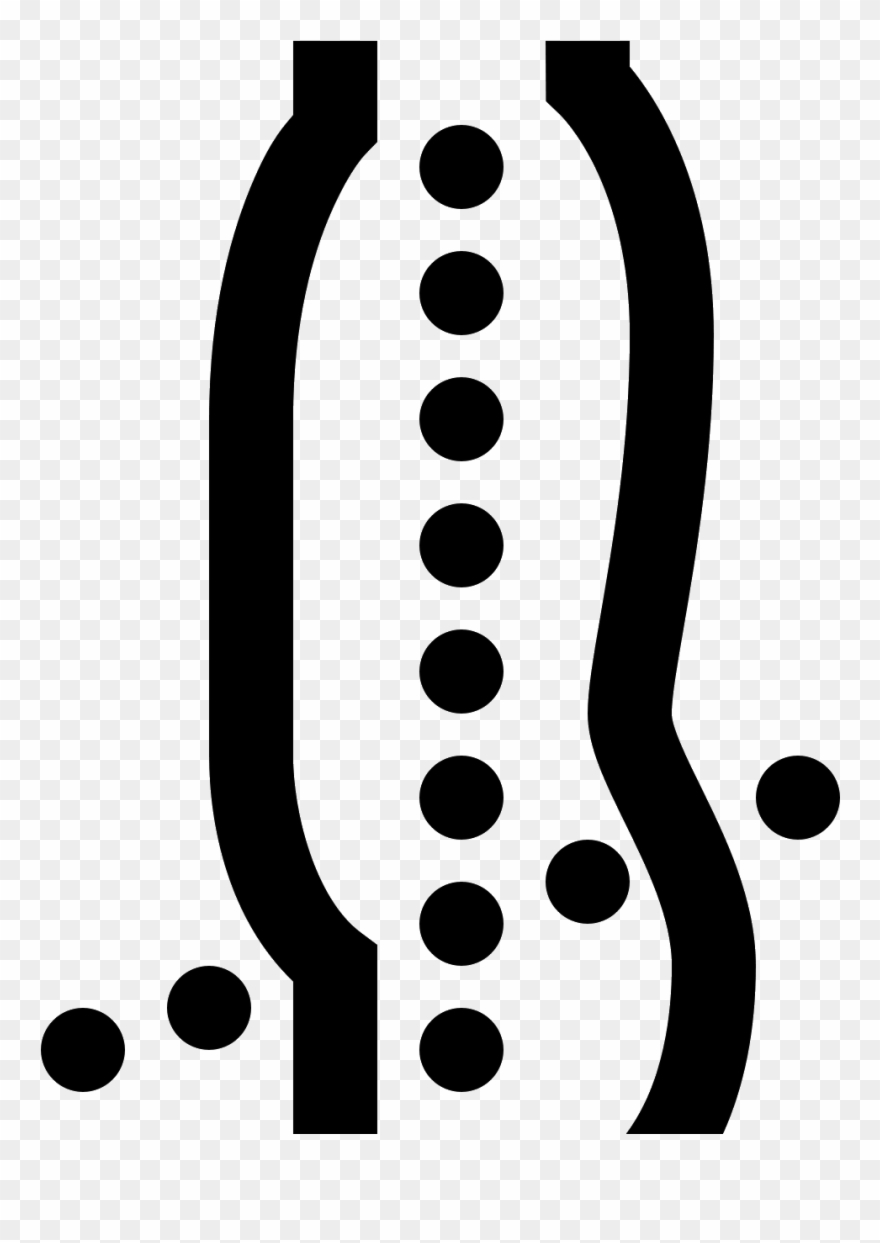 Vector Spine Posture - Physical Therapy Clipart