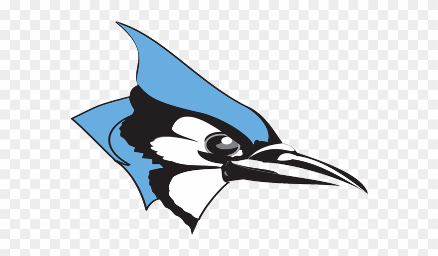 Blue Jay Clipart Johns Hopkins - Johns Hopkins University Blue Jay - Png Download