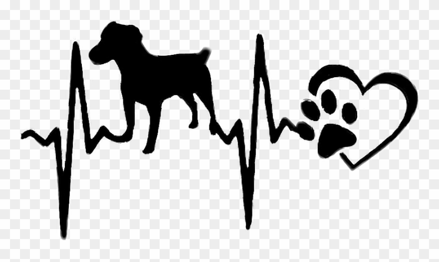 Report Abuse - Scrapbook T Shirt Svg Clipart