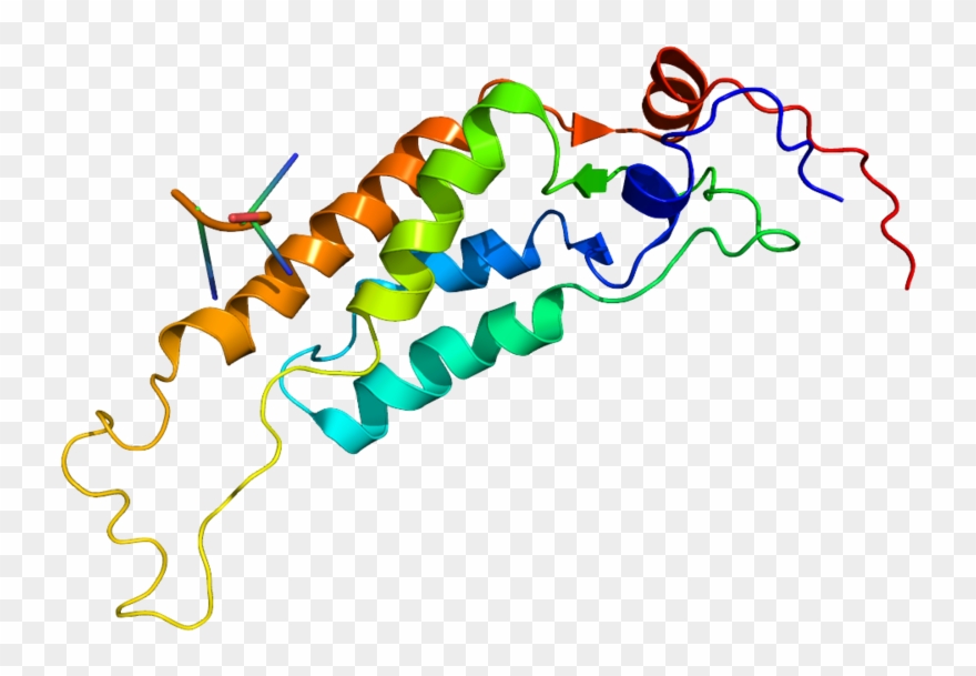 Tobacco Mosaic Virus Coat Protein Clipart