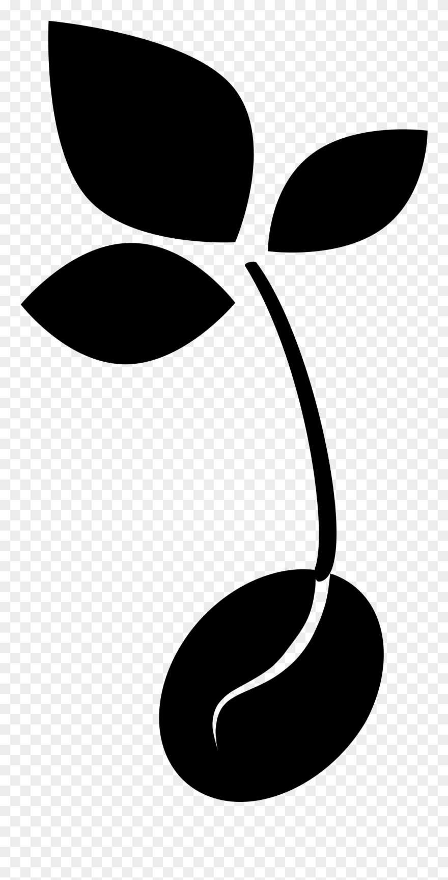 File Svg Wikimedia Commons Open - Sprouting Seed Clipart - Png Download
