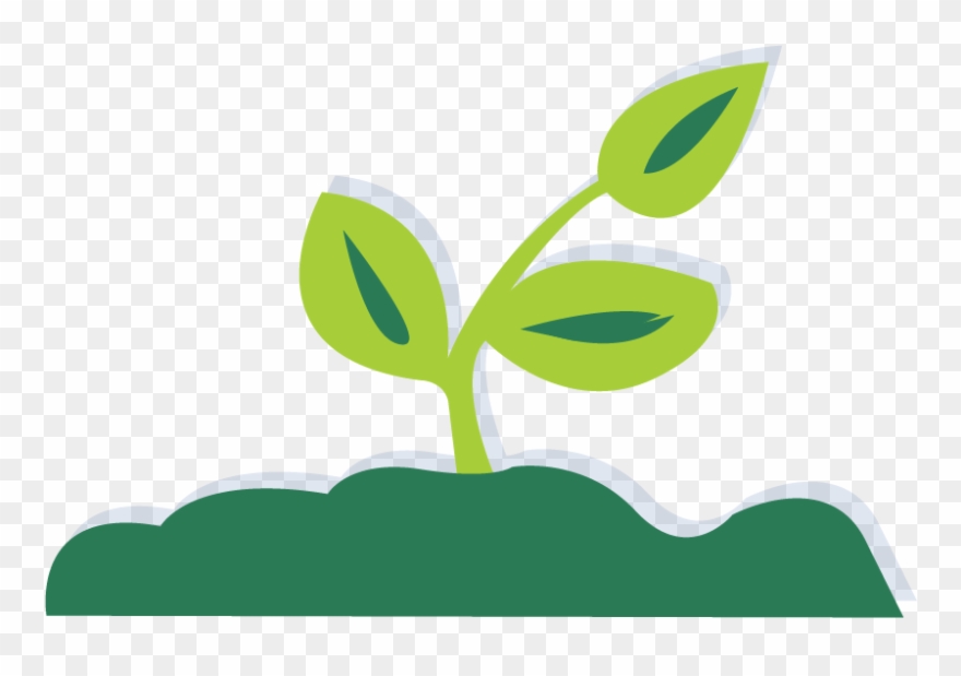 Seedling Clipart Garden Dirt - Illustration - Png Download