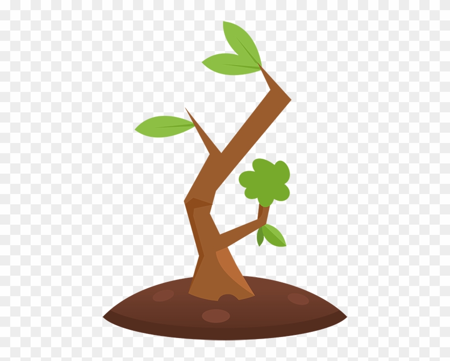 Buds Bud In Soil - Illustration Clipart
