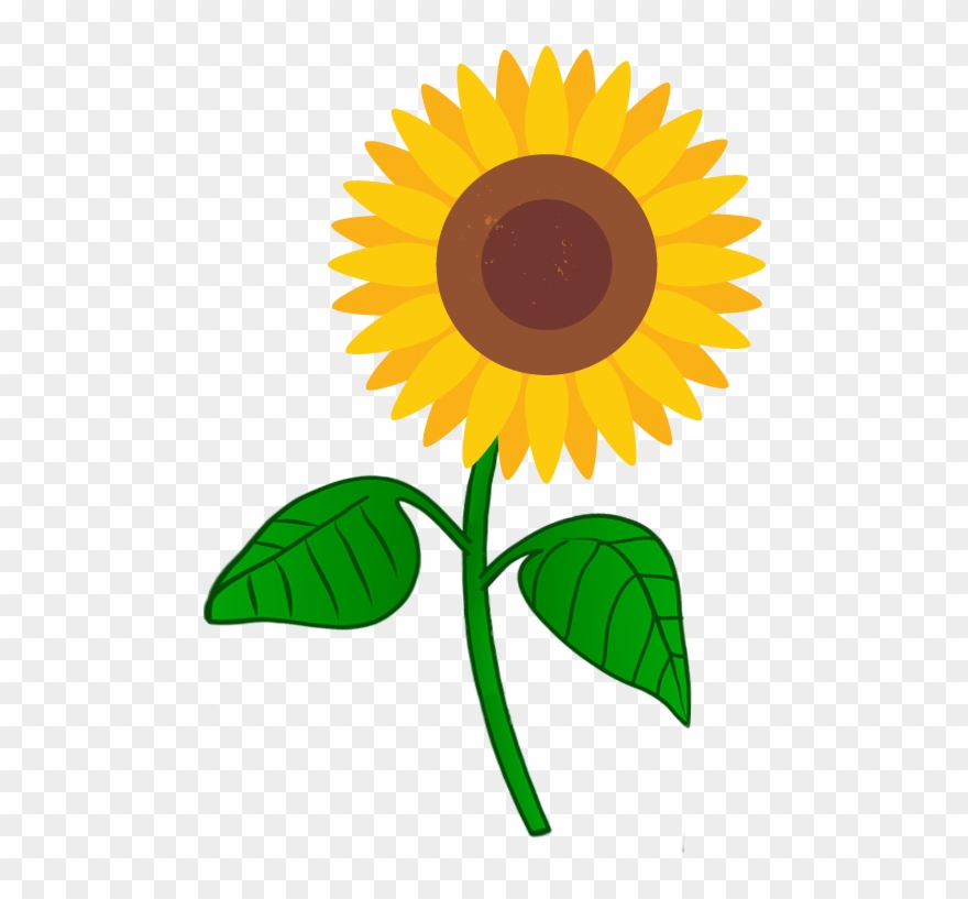 Batmaster Organic Food Home Sunflower - Icon Hot Gif Clipart