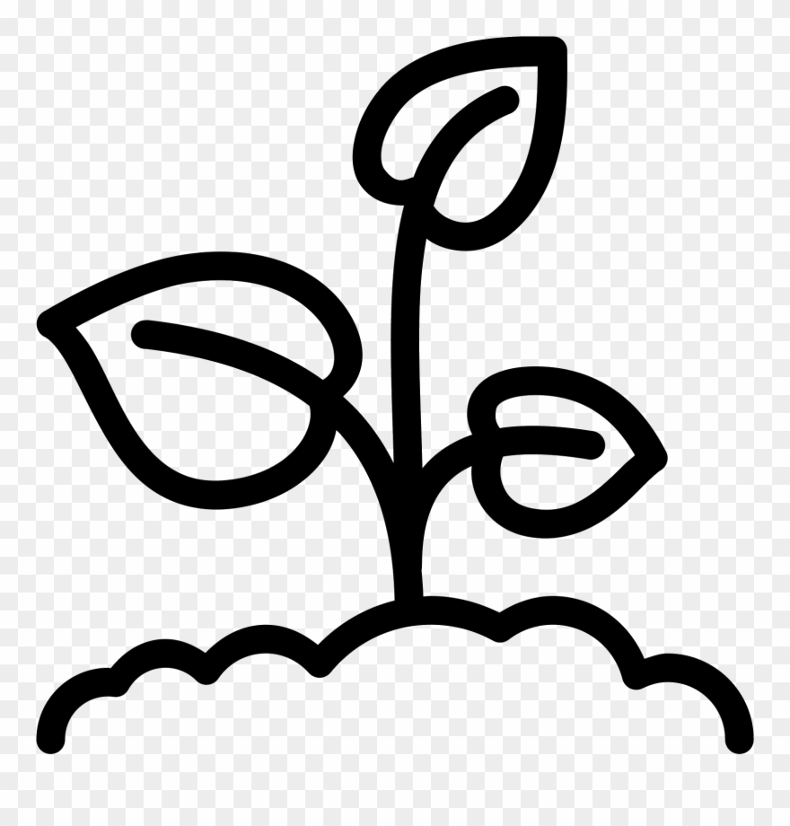 Seedling Clipart Sprouted - Black And White Sprouts Clip Art - Png