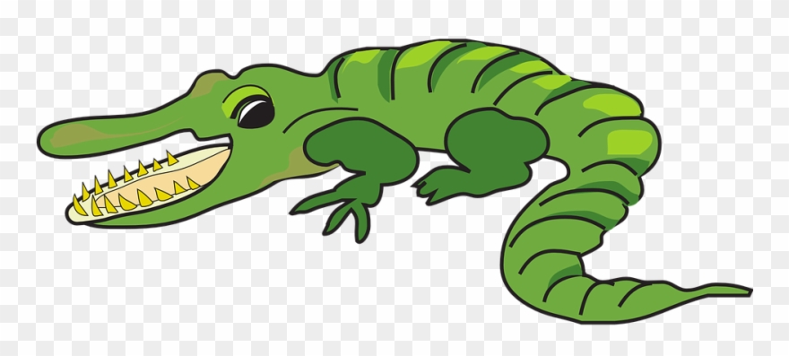 Reptile Clipart Open Mouth - Clara Y El Caimán - Png Download