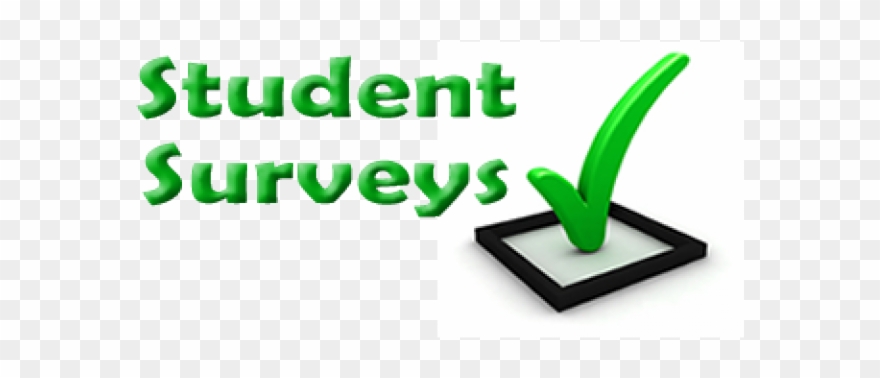 Reflection Clipart Student Survey - Student Survey - Png Download