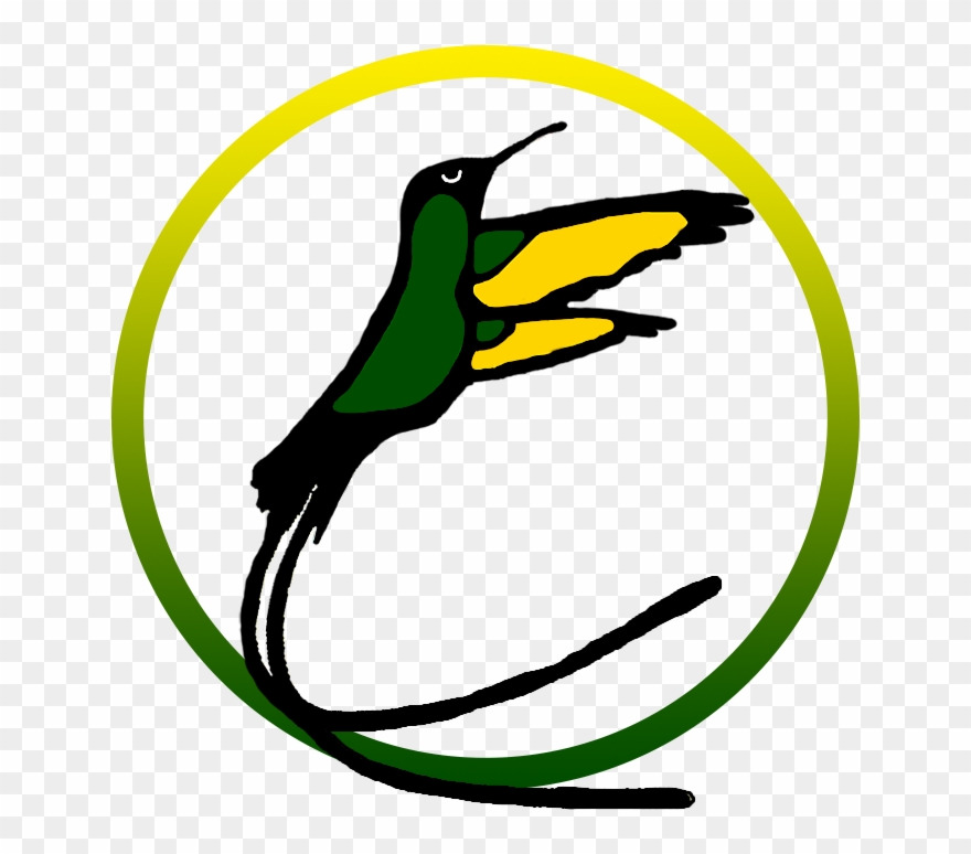 Jamaican Hummingbird Logo Clipart