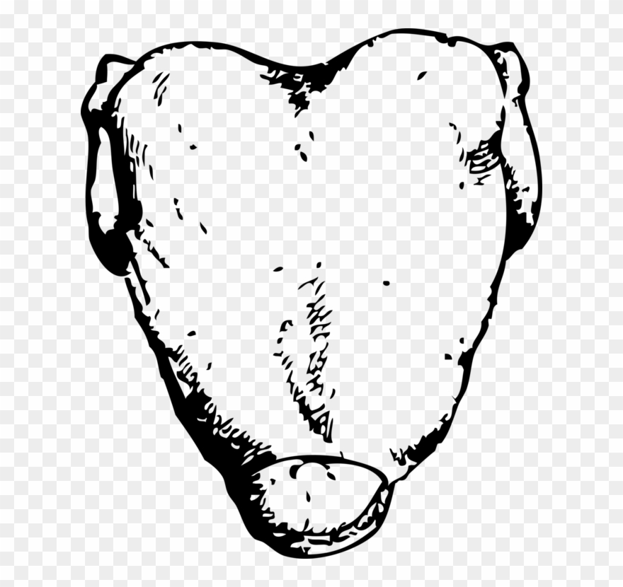 All Photo Png Clipart - Pechuga De Pollo Para Dibujar Transparent Png