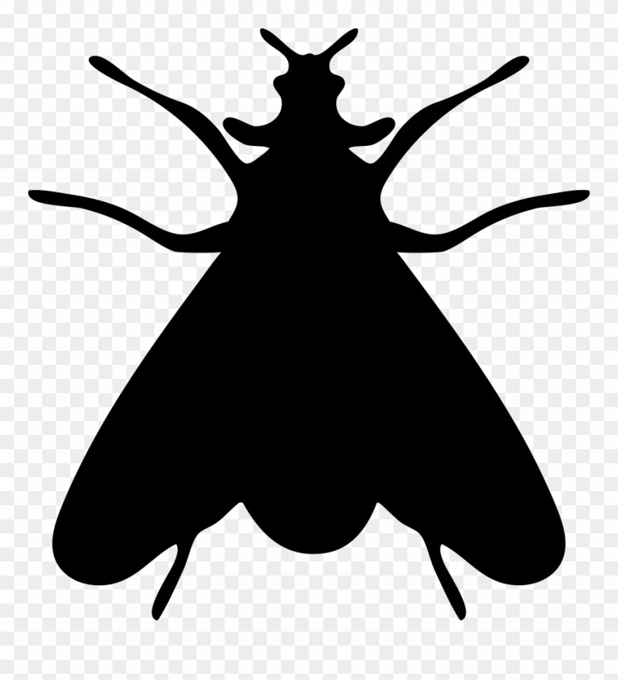 Moth Clipart Svg Graphic Transparent - Fly Silhouette Png