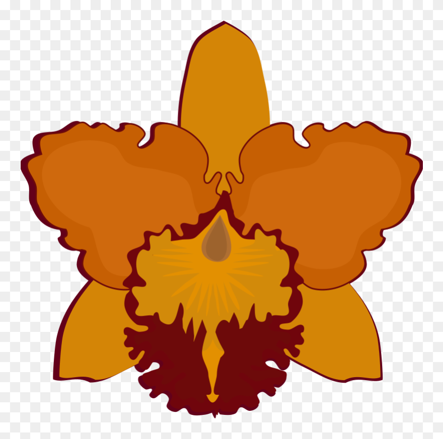 Cattleya Orchids Flowering Plant Petal Moth Orchids - Cattleya Flower Clip Art - Png Download