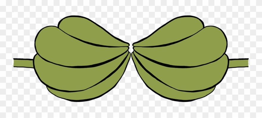 Apparel The Mermaid Store Picture - Ariel's Sisters Bra Shells Clipart