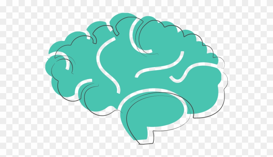 Involves The Brain, Central Nervous System And Spinal - Brain Icon Clipart