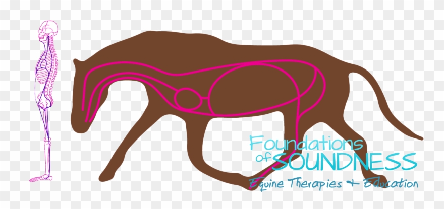 It Passes Along The Ventral Surface Of The Spinal Column, - Mare Clipart