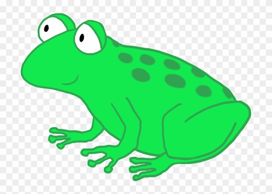 Funny Cartoon Frog Drawing, Funny And Cute Cartoon - Frog Png Clear Background Clipart