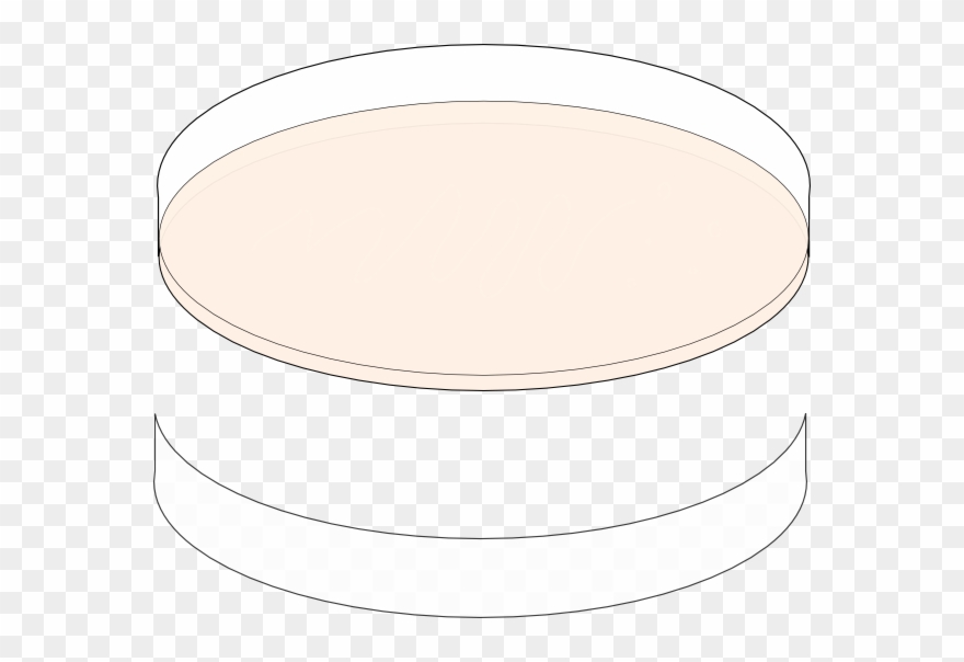 Clip Art - Png Download