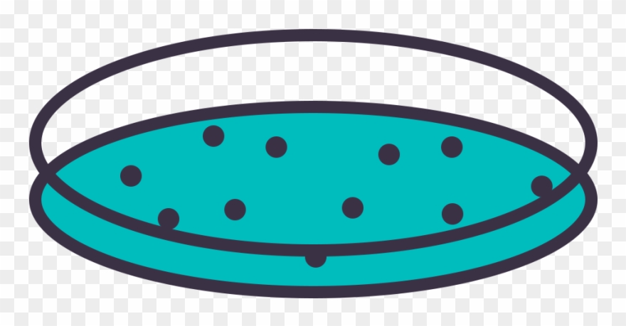 Petri Dish - Portable Network Graphics Clipart