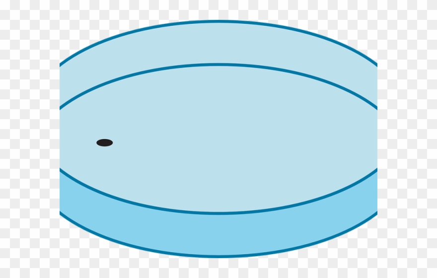 Bacteria Clipart Petri Dish - Bacteria - Png Download