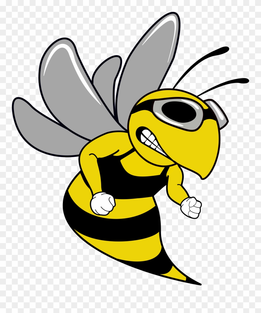 Swim Team Hornet Mascot - Cartoon Clipart