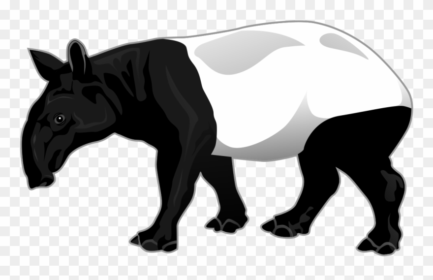 Tapir - Tapir Clip Art - Png Download