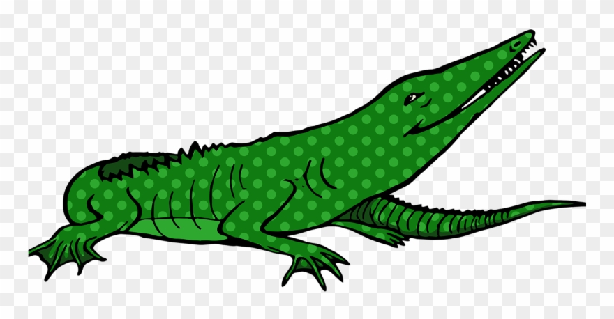 Common Iguanas Crocodiles Alligator - Crocodiles Clipart