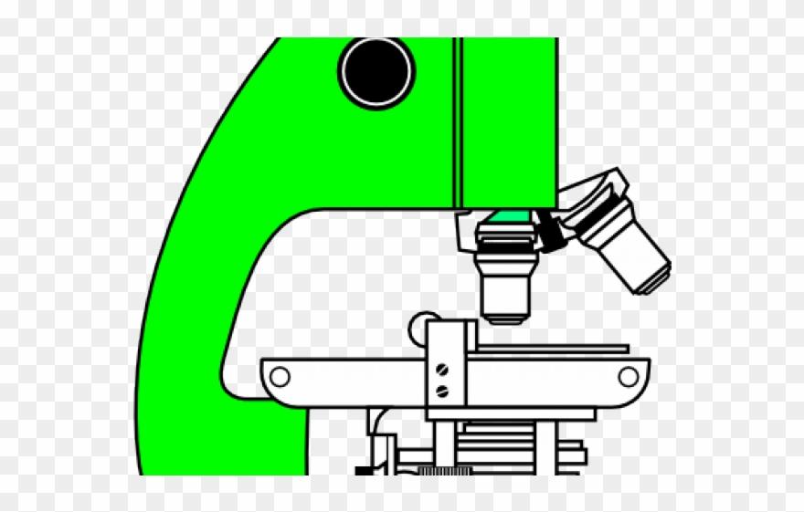 Microscope Clipart Description - Scientific Drawing Of A Microscope - Png Download