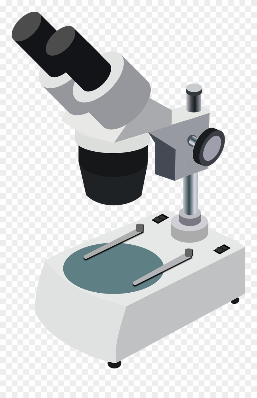 Under The Microscope - Clip Art Microscope Png Transparent Png