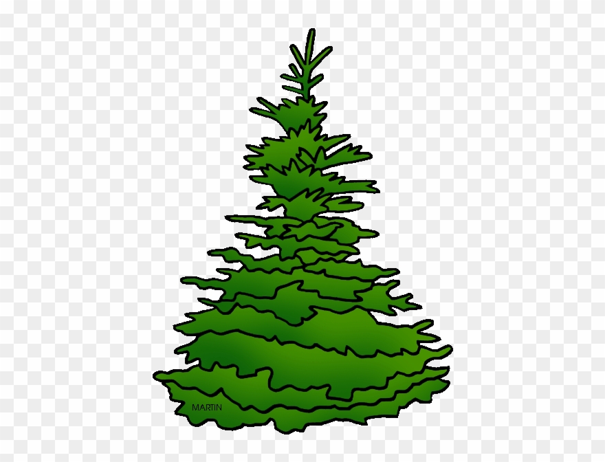 State Tree Of South Dakota - Spruce Tree Clip Art - Png Download
